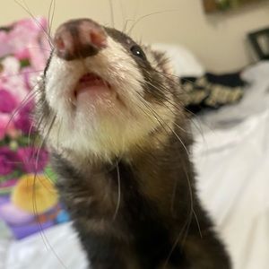 MEET YOUR POSHER, MARIA